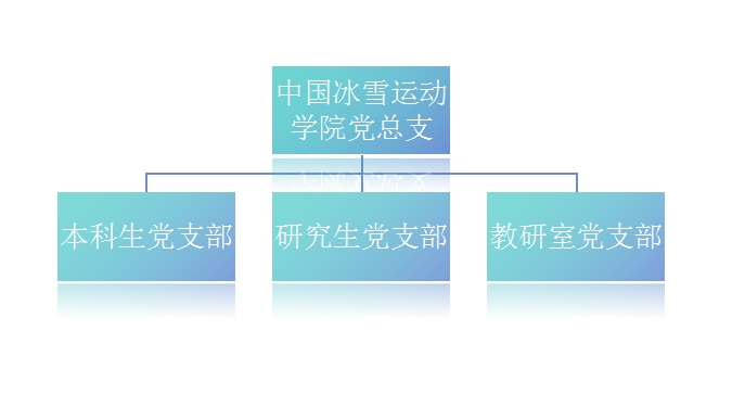 党总支组织架构图.png